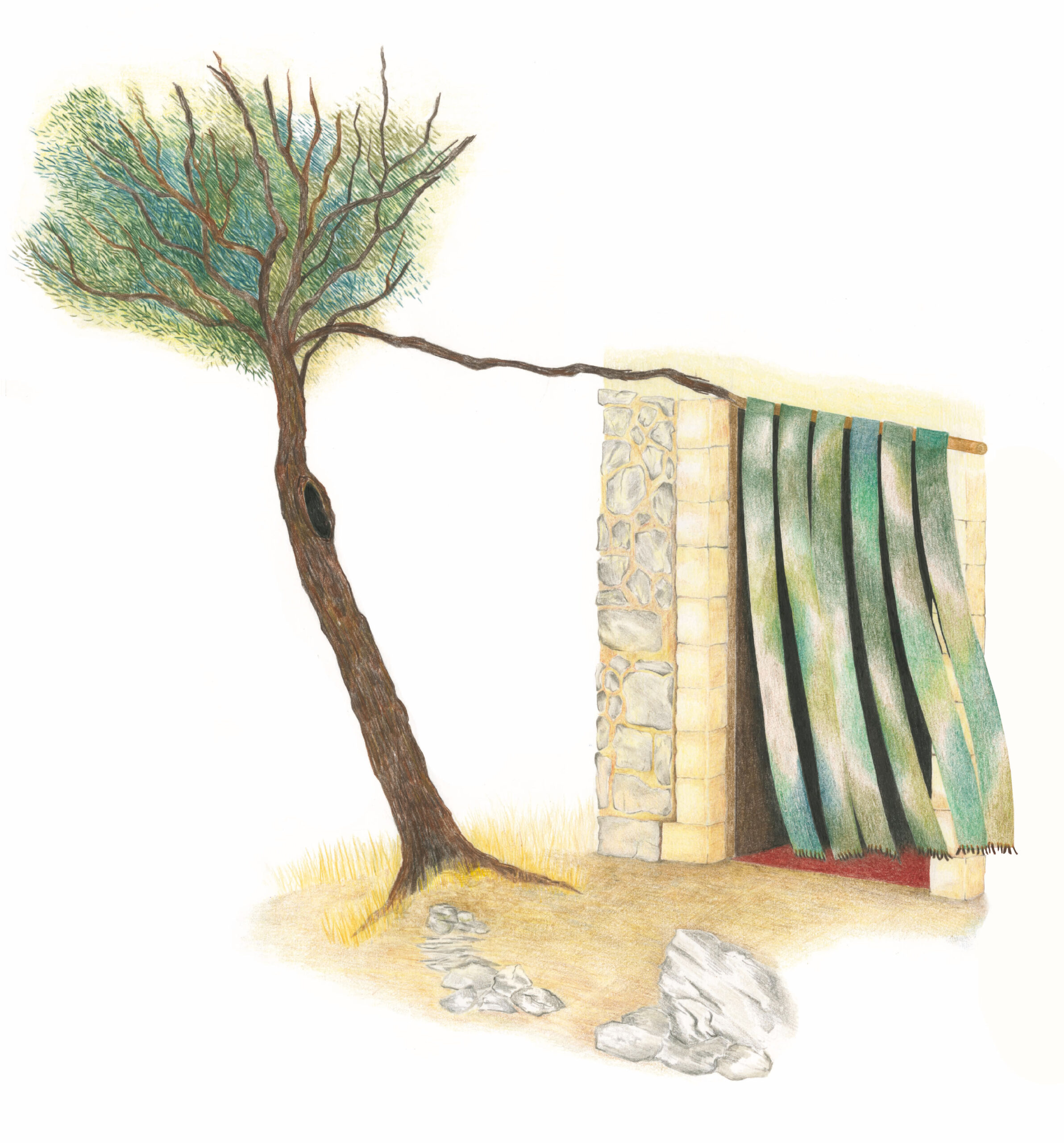 dessin I Casa del Sole